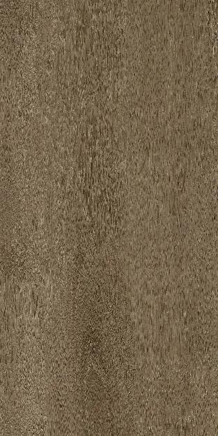 Albero Grey