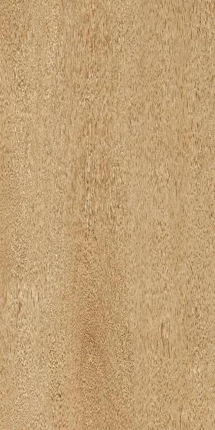 Albero Beige