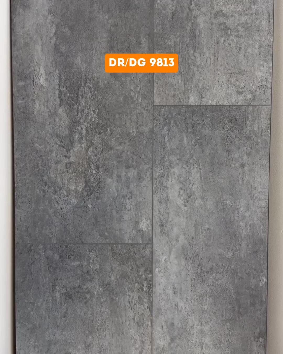 Rigid DR 9813